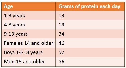 How Much Protein Do You Really Need Choicelunch 4775